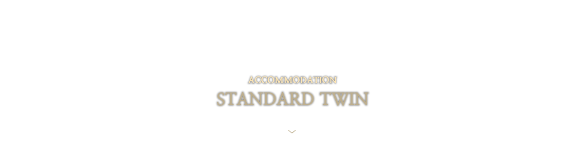 STANDARD-TWIN