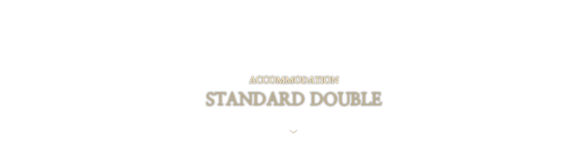 STANDARD-DOUBLE