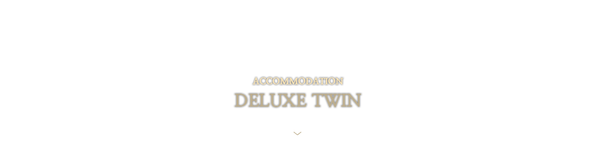 DELUXE TWIN